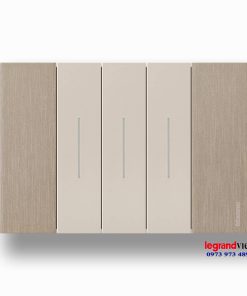 Mặt công tắc Living Now màu Gold KA4803ZW