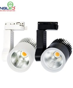 Đèn Rọi Ray 20W Beryl (DTL-20SS Series)
