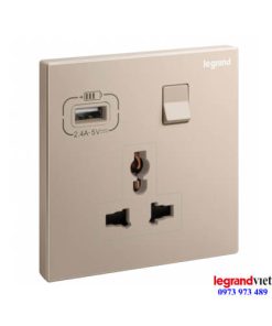 Ổ cắm đa năng kèm USB màu Rose Gold Galion Legrand