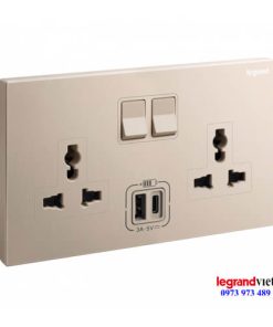 Ổ cắm đôi đa năng kèm USB màu Rose Gold Galion