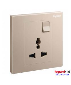 Ổ cắm đơn đa năng kèm công tắc Galion Legrand màu Rose Gold